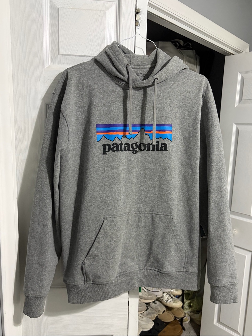 Patagonia Hoodie